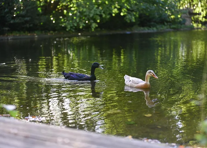 Vakantiehuis Green&tiny Spot An Der Schafweide - Sleep Space 3